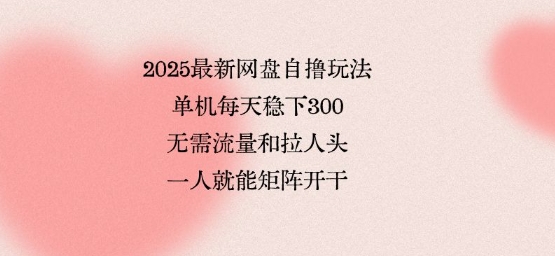 2025最新网盘自撸玩法，单机每天稳下3张，无需流量和拉人头，一个人就可轻松矩阵，全网独一份【揭秘】-副业宝典
