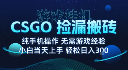 8月最新游戏搬砖，CSGO纯挂G，不需要玩游戏，实现真挂G，月入1W+【揭秘】-副业宝典
