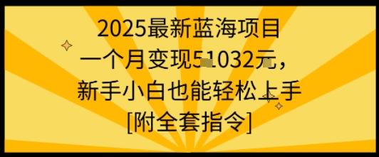 2025最新蓝海项目一个月变现1w+新手小白也能轻松上手【附全套指令】-副业宝典