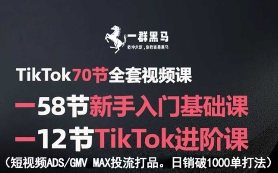 TikTok全套视频课，新手入门+进阶课，短视频ADS-GMV MAX投流打品，日销破1000单打法-副业宝典