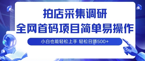 拍店采集调研，全网首码项目，简单易操作， 小白也能轻松上手，多账号操作，轻松日入5张【揭秘】-副业宝典