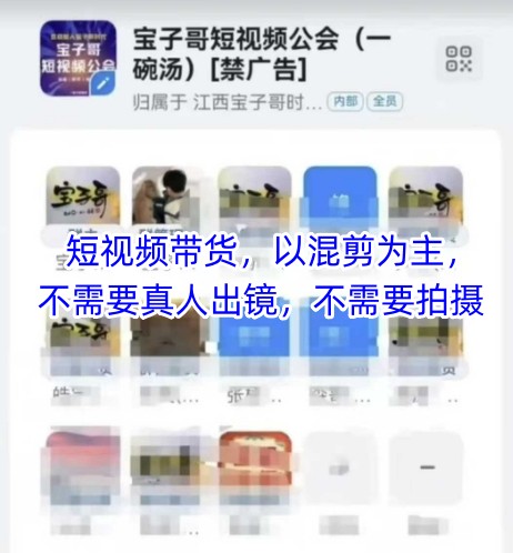 宝子哥头部团队短视频带货，以混剪为主，不需要真人出镜，不需要拍摄【更新9月】-副业宝典