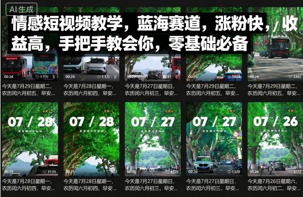 情感短视频教学，蓝海赛道，涨粉快，收益高，手把手教会你，零基础必备-副业宝典