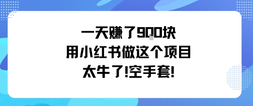 一天挣了9张用小红书做这个项目太牛了，空手套-副业宝典