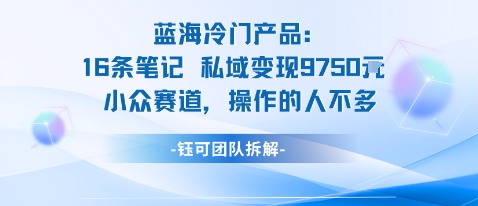蓝海项目：16条笔记私域变现9750米小众赛道操作的人不多-副业宝典