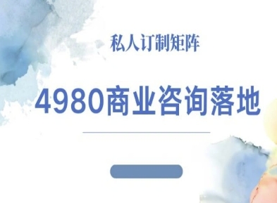 4980商业咨询师落地课程-ip运营高客单教程-副业宝典