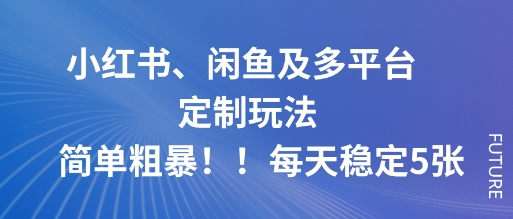小红书、闲鱼及多平台定制玩法简单粗暴！每天稳定5张-副业宝典