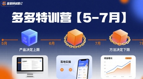 多多特训营，产品决定上限，方法决定下限，各种玩法技巧落地实操(更新)-副业宝典