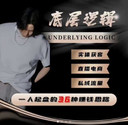 一个人起盘的底层逻辑，私域流量-直播电商-实体获客，一人起盘的36种賺钱思路-副业宝典