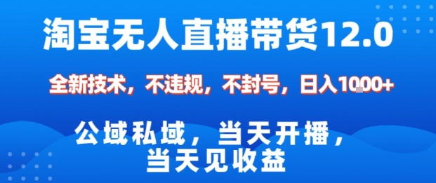 淘宝无人直播12.0，公域私域技术，不封号，不违规布局双十一流量风口，日入1k(独家技术)【揭秘】-副业宝典