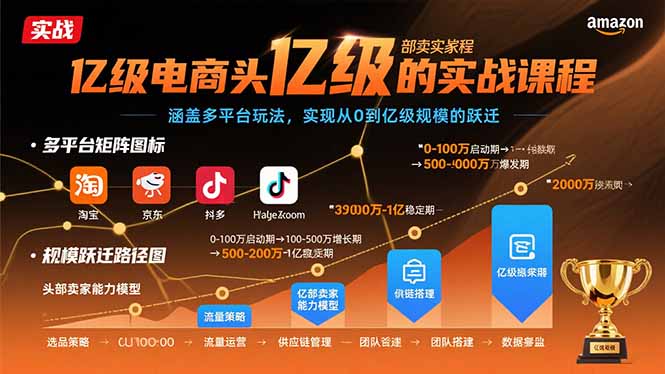 亿级电商头部卖家的实战课程：涵盖多平台玩法，实现从0到亿级规模的跃迁-副业宝典