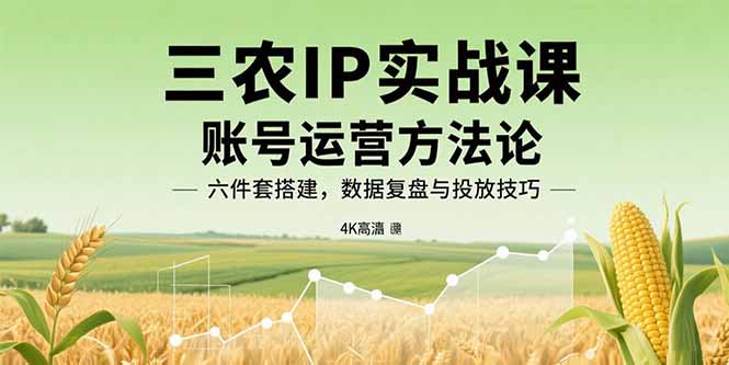 三农IP实战课：账号运营方法论，六件套搭建，数据复盘与投放技巧-副业宝典