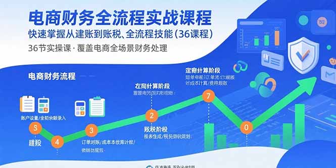电商财务全流程实战课程：快速掌握从建账到报税的全流程技能(36节课-副业宝典