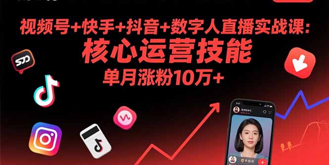视频号+快手+抖音+数字人直播实战课(9月-副业宝典