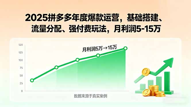 2025拼多多年度爆款运营，基础搭建、流量分配、强付费玩法，月利润5-15万-副业宝典