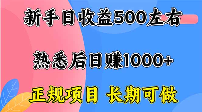 新手日收益500+ 正规项目 长期可做-副业宝典