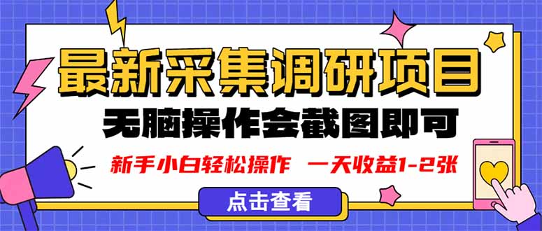 新版采集调研项目，截图上传即可，无脑操作，日收益1-2张-副业宝典