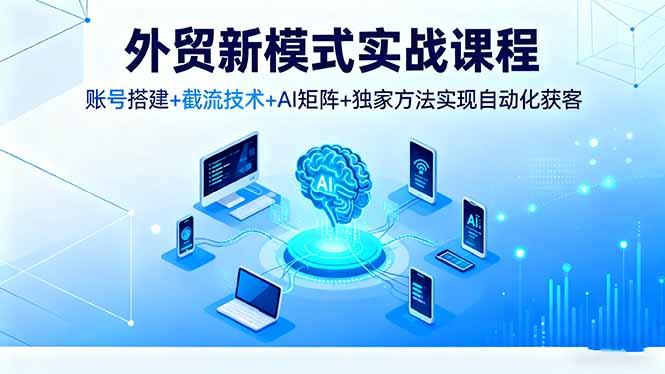 外贸新模式实战课程，账号搭建+截流技术+AI矩阵+独家方法实现自动化获客-副业宝典