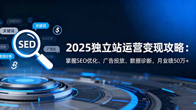 2025独立站运营变现攻略：掌握SEO优化、广告投放、数据诊断，月业绩50万+-副业宝典