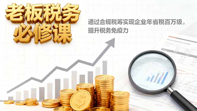 老板税务必修课，通过合规税筹实现企业年省税百万级，提升税务免疫力-副业宝典