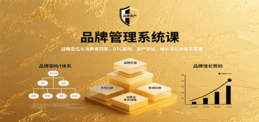 品牌管理系统课：战略定位与消费者洞察，DTC案例、资产评估，增长与公关体系搭建-副业宝典