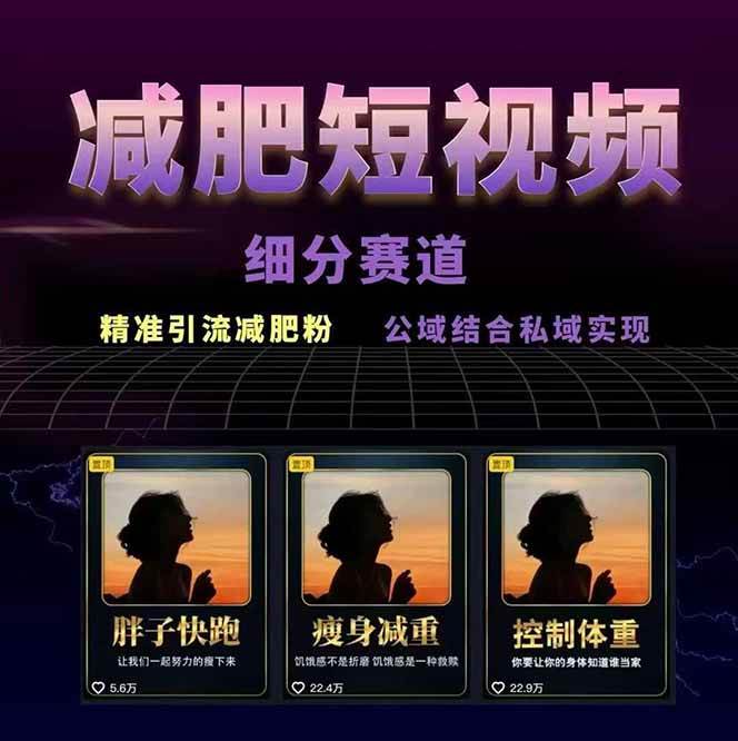 图片[2]-减肥短视频运营实战课：含素材制作、剪映教学，讲精准引流、变现设计与内容模板技巧-副业宝典