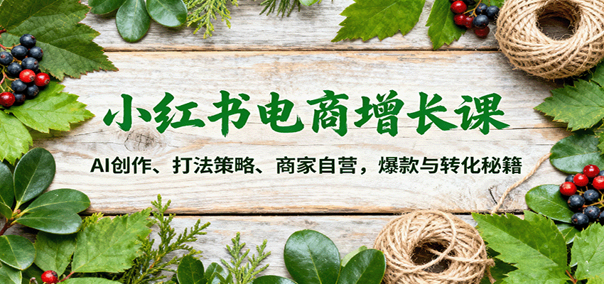 小红书电商增长课：AI创作、打法策略、商家自营，爆款与转化秘籍-副业宝典