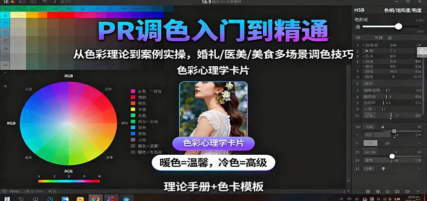 PR调色入门到精通：从色彩理论到案例实操，婚礼/医美/美食多场景调色技巧-副业宝典