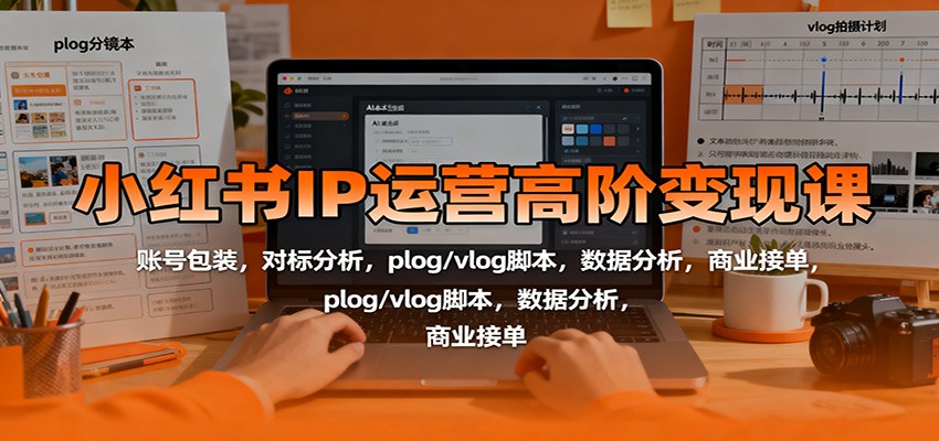 小红书IP运营高阶变现课：账号包装，对标分析，plog/vlog脚本，数据分析，商业接单-副业宝典