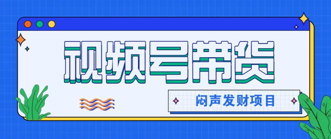 微信视频号带货项目，轻松日赚赚2000+，这个挣钱入口很多伙伴都在闷声发财-副业宝典