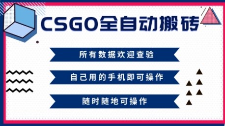CSGO全自动搬砖，年底钱回家好项目，当天可拿到结果，新手小白轻松月入1W+【揭秘】-副业宝典