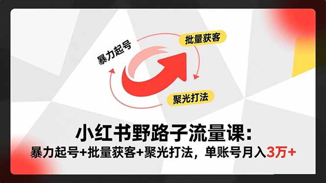 小红书野路子流量课：暴力起号+批量获客+聚光打法，单账号月入3万+-副业宝典