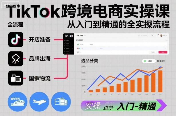 TikTok跨境电商实操课，从入门到精通的全实操流程-副业宝典