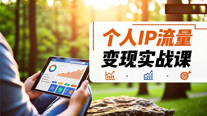 个人IP流量变现实战课，涵盖多平台引流、打造个人IP并实现稳定流量变现-副业宝典