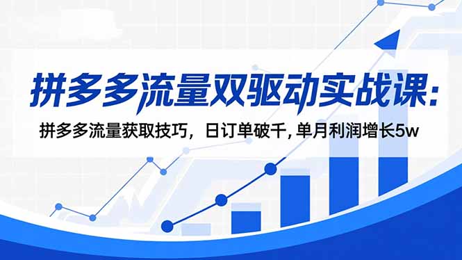 拼多多流量双驱动实战课：拼多多流量获取技巧，日订单破千,单月利润增长5w-副业宝典