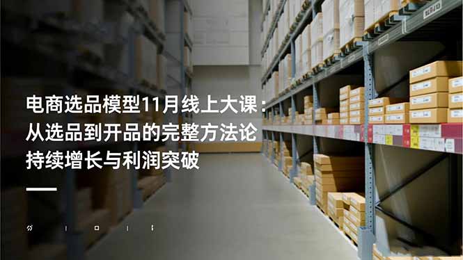 电商选品模型11月线上大课：从选品到开品的完整方法论 持续增长与利润突破-副业宝典