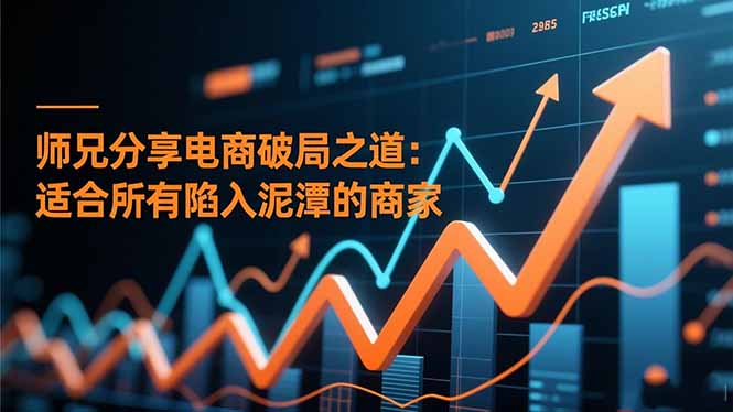 师兄分享电商破局之道：适合所有陷入泥潭的商家-副业宝典
