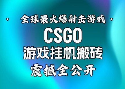 【年底大揭秘】基于全球最火爆的射击CSGO游戏挂G搬砖，日入5张+，震撼公开-副业宝典