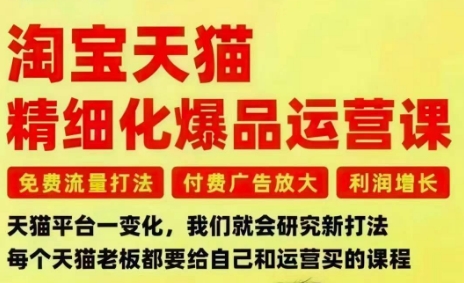 淘宝天猫精细化爆品运营课，免费流量打法-付费广告放大-利润增长-三大核心痛点，一次全部解决-副业宝典