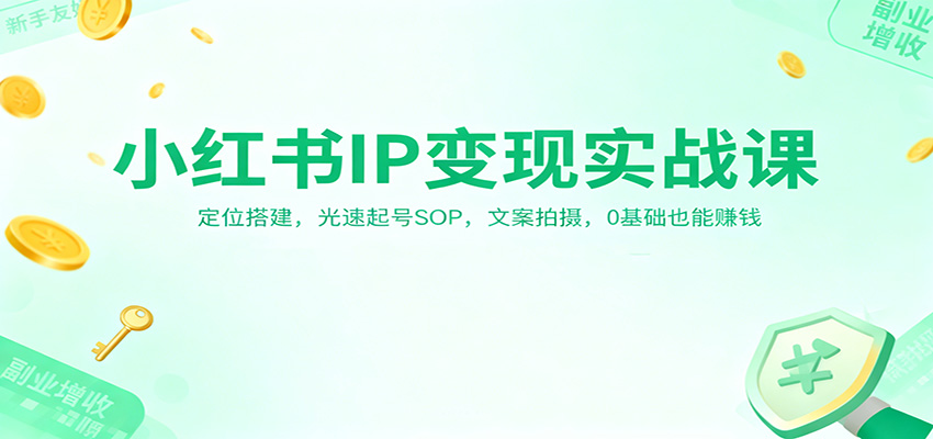 小红书IP变现实战课：定位搭建，光速起号SOP，文案拍摄，0基础也能赚钱-副业宝典
