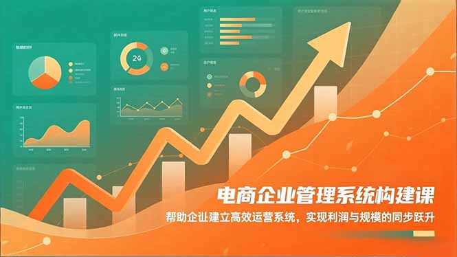 电商企业管理系统构建课：帮助企业建立高效运营系统，实现利润与规模的同步跃升-副业宝典