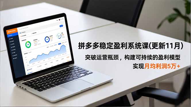 拼多多稳定盈利系统课(更新11月-副业宝典