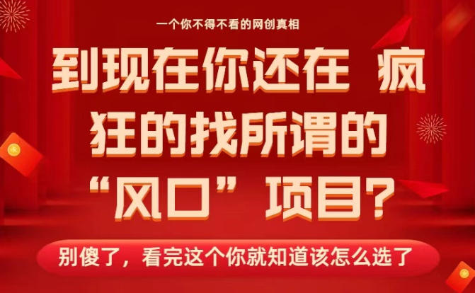 马上26年了，你还在找所谓的风口项目？别傻了，看完这个你全都懂了！【揭秘】-副业宝典