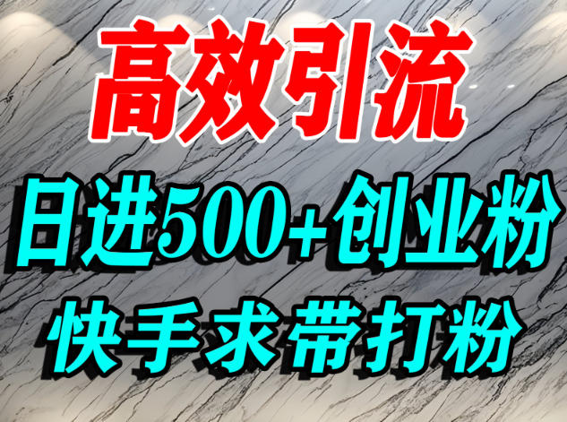 怎么打创业粉？快手求带视角精准引流创业粉，宝妈、学生群体日进500+精准流量-副业宝典