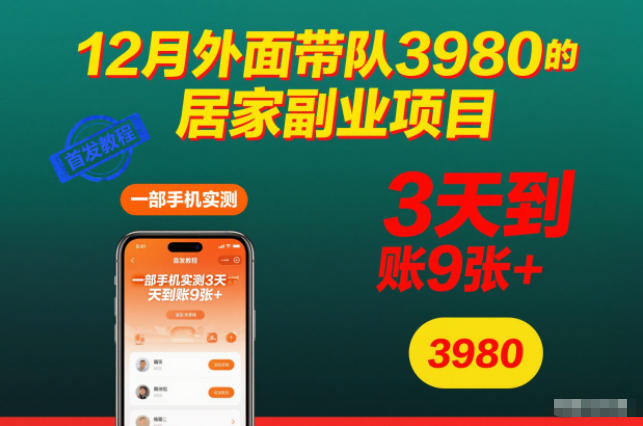 12月外面带队3980的居家副业项目，一部手机实测3天到账9张+，首发教程【揭秘】-副业宝典