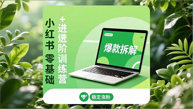 小红书零基础+高阶训练营：安全养号、爆款拆解、长效运营，实现稳定涨粉与变现-副业宝典