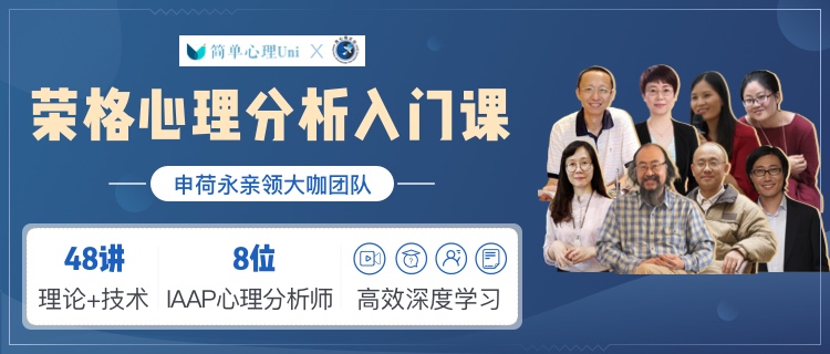 荣格心理分析入门课程-副业宝典