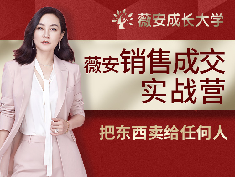 薇安28天销售高手训练营-副业宝典