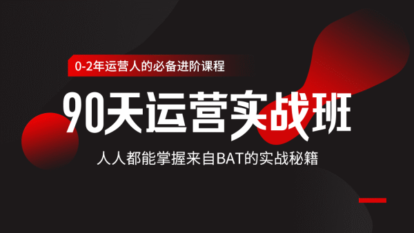 90天运营实战班 掌握BAT秘籍-副业宝典