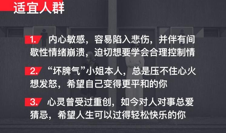 情绪治愈术：驯服不听话的情绪-副业宝典